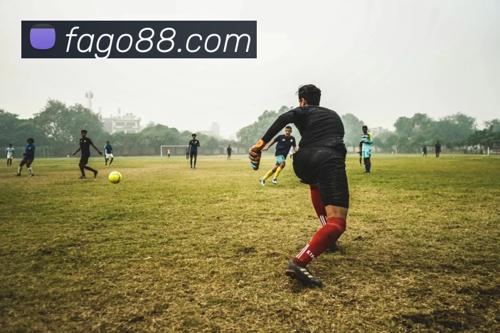 多媒体互动体验